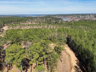 A rare opportunity for a large mixed use lake development - photo 26