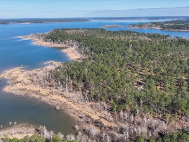 A rare opportunity for a large mixed use lake development - photo 27