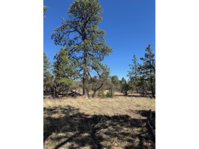 Heron Lake Acreage For Sale in Los Ojos New Mexico