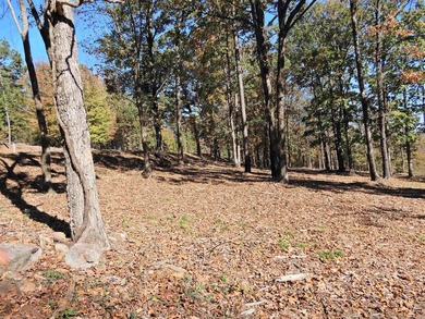 Drive by and look at 3 LOTS (each LOT is one + acres for a total - photo 2