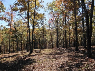 Drive by and look at 3 LOTS (each LOT is one + acres for a total - photo 3