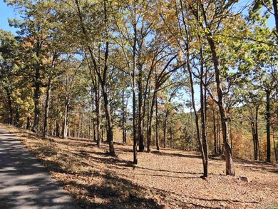 Drive by and look at 3 LOTS (each LOT is one + acres for a total - photo 4