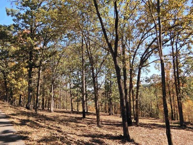 Drive by and look at 3 LOTS (each LOT is one + acres for a total - photo 5