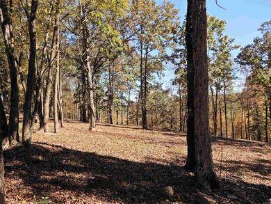 Drive by and look at 3 LOTS (each LOT is one + acres for a total - photo 6