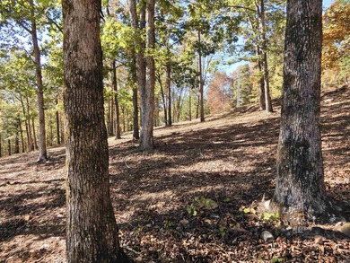 Drive by and look at 3 LOTS (each LOT is one + acres for a total - photo 7