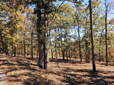 Drive by and look at 3 LOTS (each LOT is one + acres for a total - photo 9