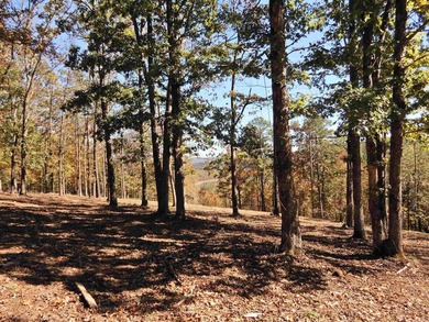 Drive by and look at 3 LOTS (each LOT is one + acres for a total - photo 10