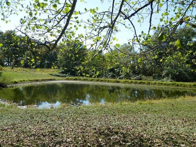 Ranch-Style Home on 10 Acres with Pond & Pole Barn! Enjoy - photo 49