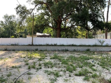Smith Lake Lot For Sale in Belleview Florida
