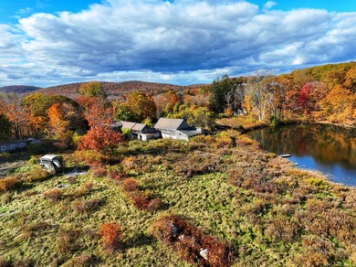 A remarkable 139-acre property located up on Skiff Mountain - photo 11
