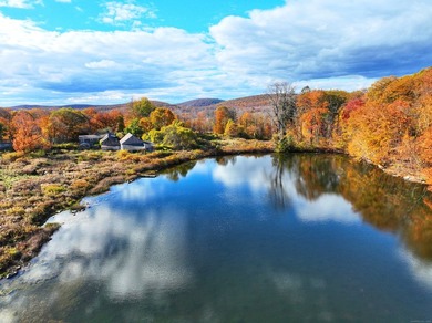 A remarkable 139-acre property located up on Skiff Mountain - photo 12
