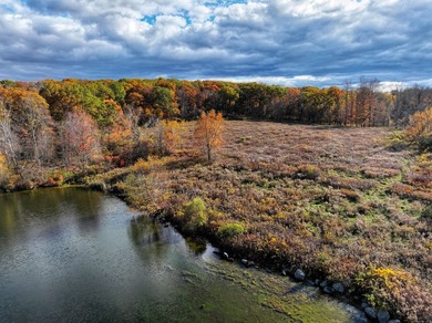 A remarkable 139-acre property located up on Skiff Mountain - photo 13