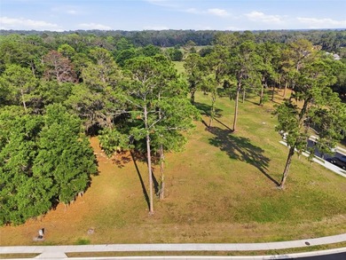 Build the custom home you've always envisioned on this stunning - photo 13