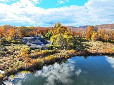 A remarkable 139-acre property located up on Skiff Mountain - photo 14