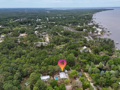 Tucked away in the heart of Santa Rosa Beach, this charming and - photo 42
