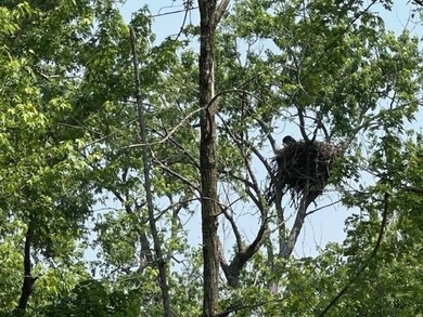 One of the few lots left on Lake Koshkonong for you to build the - photo 2