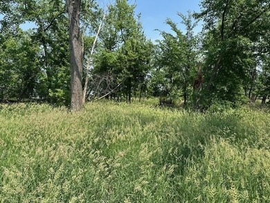 One of the few lots left on Lake Koshkonong for you to build the - photo 3