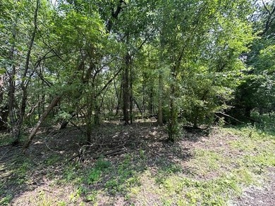 One of the few lots left on Lake Koshkonong for you to build the - photo 7