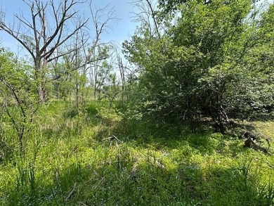 One of the few lots left on Lake Koshkonong for you to build the - photo 8