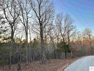 Truman Lake Acreage For Sale in Warsaw Missouri