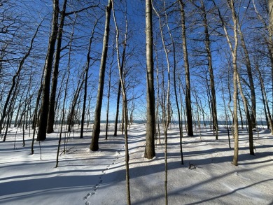 Lake Lot For Sale in Fennville, Michigan