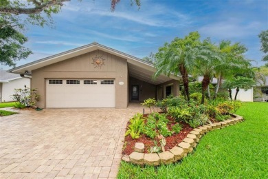 Lake Home For Sale in Clearwater, Florida