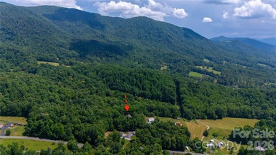 Tucked away in the heart of the High Blue Ridge Mountains, this - photo 31