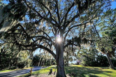 Experience breathtaking panoramic views of the marsh along - photo 9