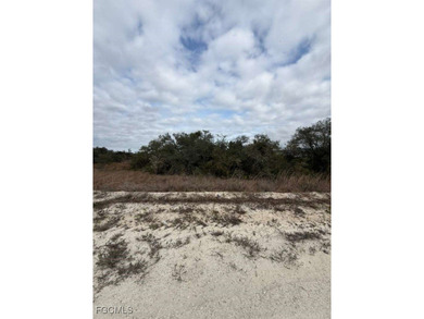 Lake Grassy Lot For Sale in Lake Placid Florida