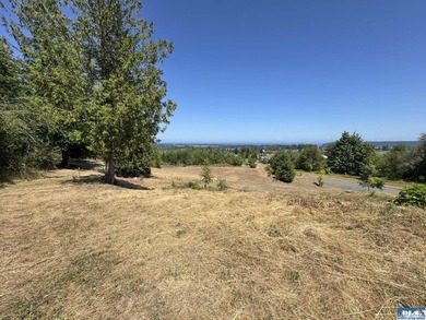 Build your dream home on this spacious 0.8 acre lot in the - photo 11