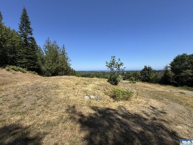 Build your dream home on this spacious 0.8 acre lot in the - photo 13