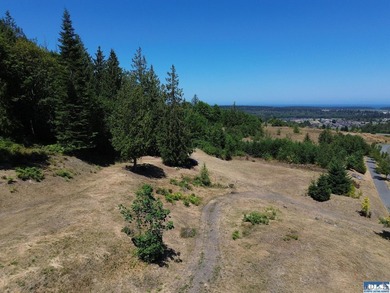 Build your dream home on this spacious 0.8 acre lot in the - photo 15