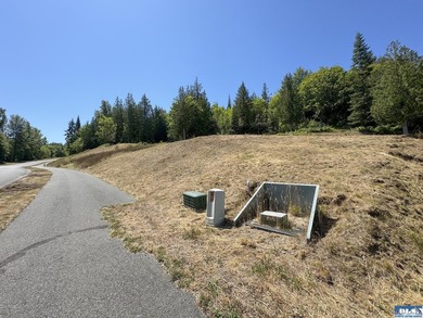 Build your dream home on this spacious 0.8 acre lot in the - photo 16