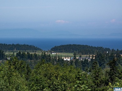 Build your dream home on this spacious 0.8 acre lot in the - photo 17