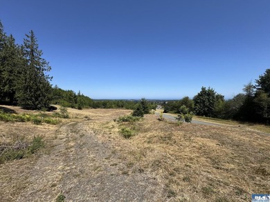 Build your dream home on this spacious 0.8 acre lot in the - photo 20