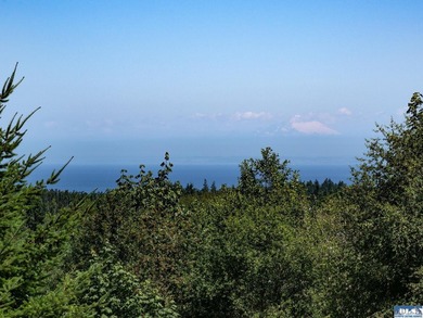 Build your dream home on this spacious 0.8 acre lot in the - photo 22