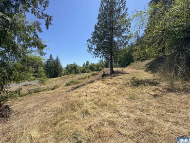 Build your dream home on this spacious 0.8 acre lot in the - photo 25