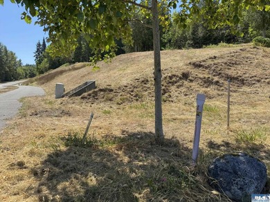 Build your dream home on this spacious 0.8 acre lot in the - photo 26