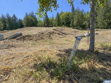 Build your dream home on this spacious 0.8 acre lot in the - photo 27