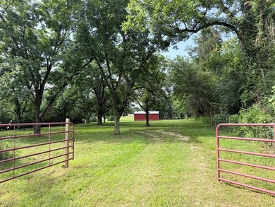 A rare find in Jefferson Davis County - 56 acres of mixed - photo 2