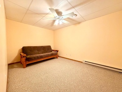 Lakefront Living on Lake Shetek's Private Edgewater Road Island - photo 32