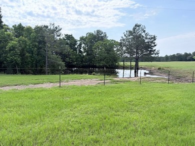 A rare find in Jefferson Davis County - 56 acres of mixed - photo 5