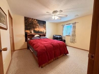 Lakefront Living on Lake Shetek's Private Edgewater Road Island - photo 35