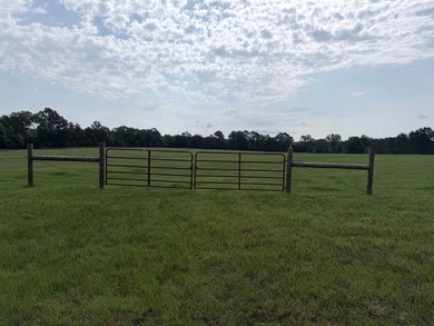A rare find in Jefferson Davis County - 56 acres of mixed - photo 6