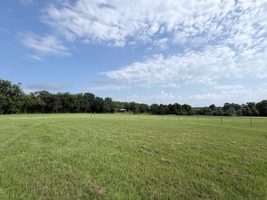 A rare find in Jefferson Davis County - 56 acres of mixed - photo 8
