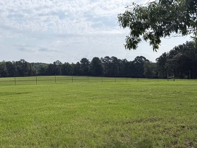 A rare find in Jefferson Davis County - 56 acres of mixed - photo 9