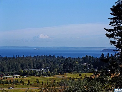 Build your dream home on this spacious 0.8 acre lot in the - photo 39