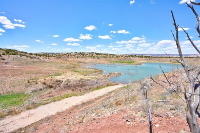 Located in the gated Laguna Jacquez subdivision just over a half - photo 9