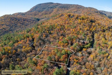 Lake Toxaway Lot For Sale in Lake Toxaway North Carolina