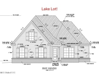 Lake Home For Sale in Southaven, Mississippi